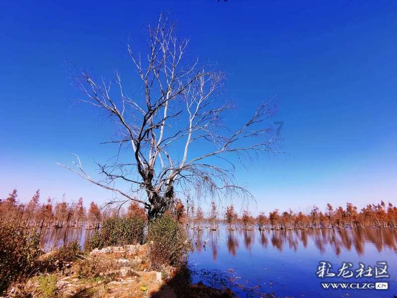 “羊城好医生”曾诚“1+17”次青海行：身体暂别，心一直在